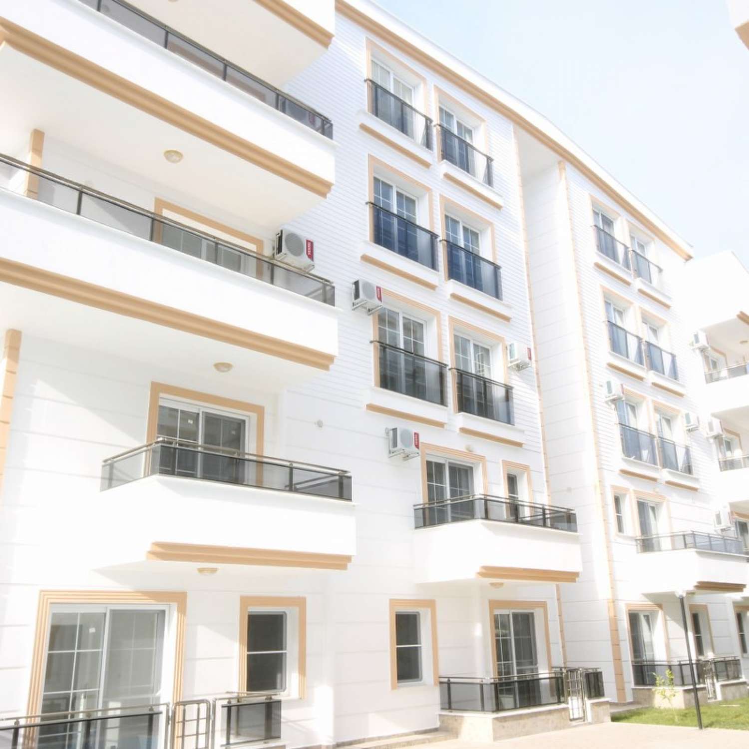 Elegance - II - DİDİM