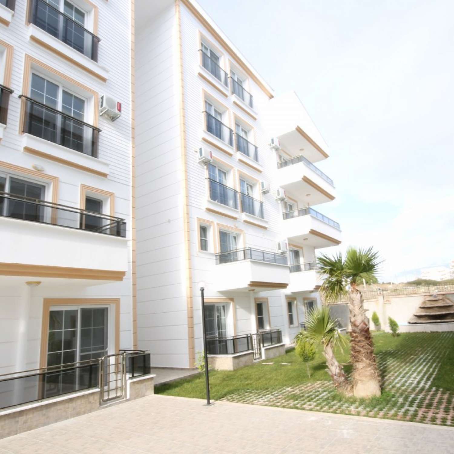 Elegance - II - DİDİM