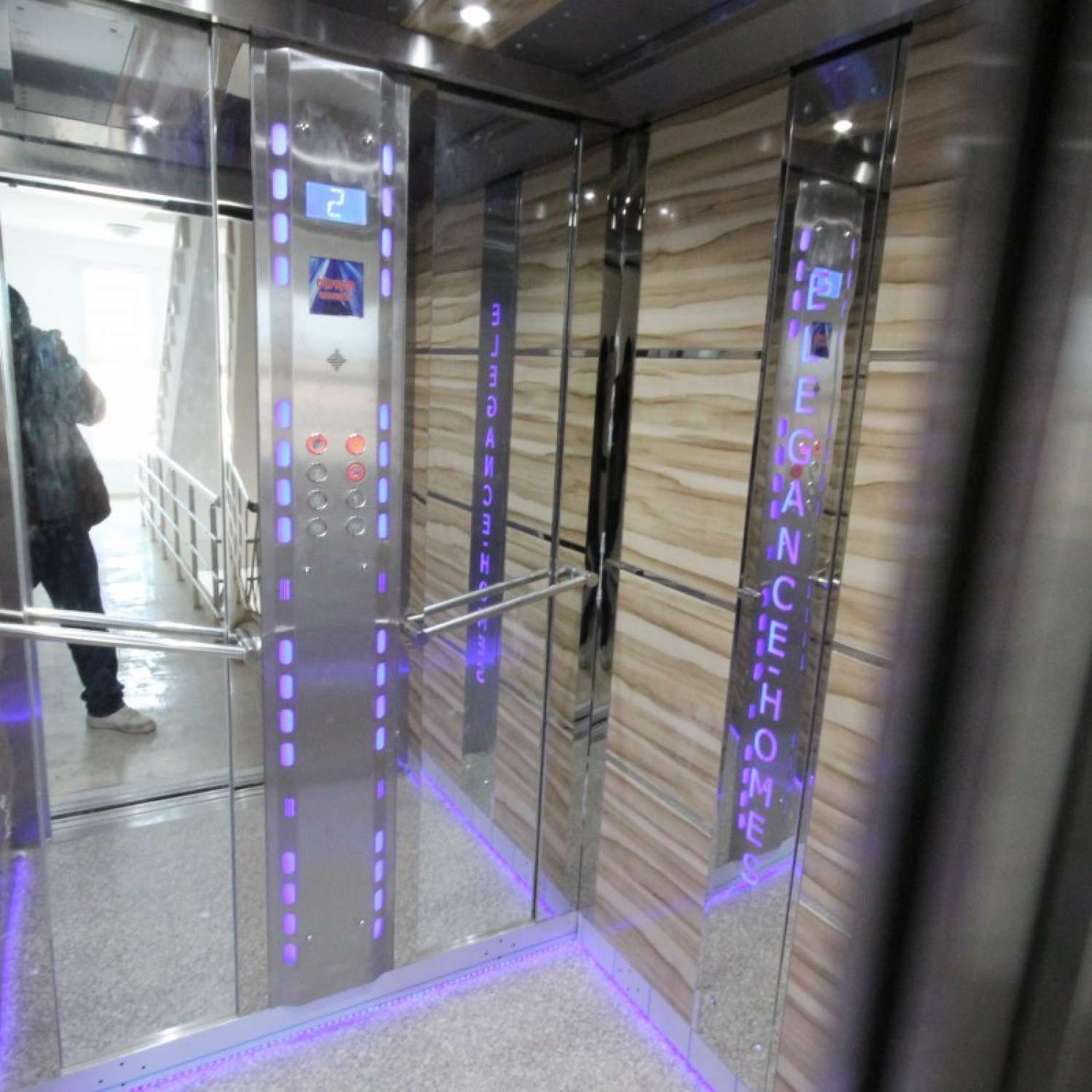 Elegance - II - DİDİM